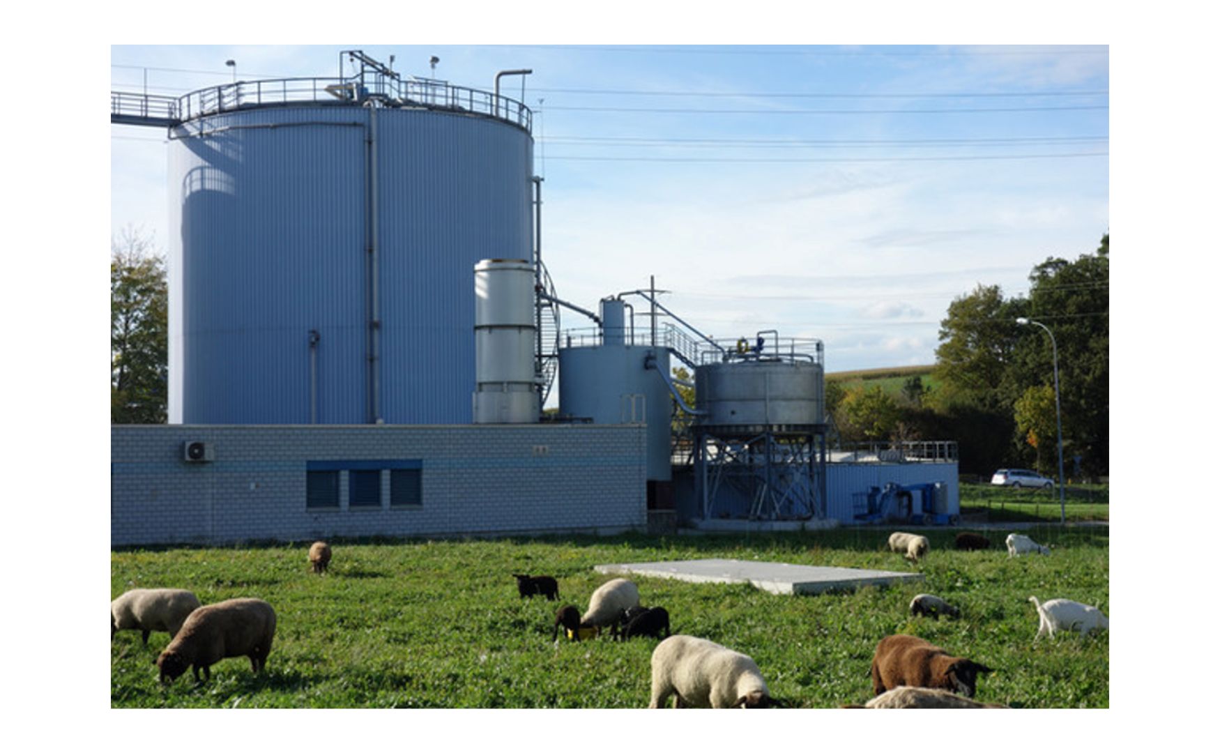 Biogasgewinnung in der Zuckerindustrie